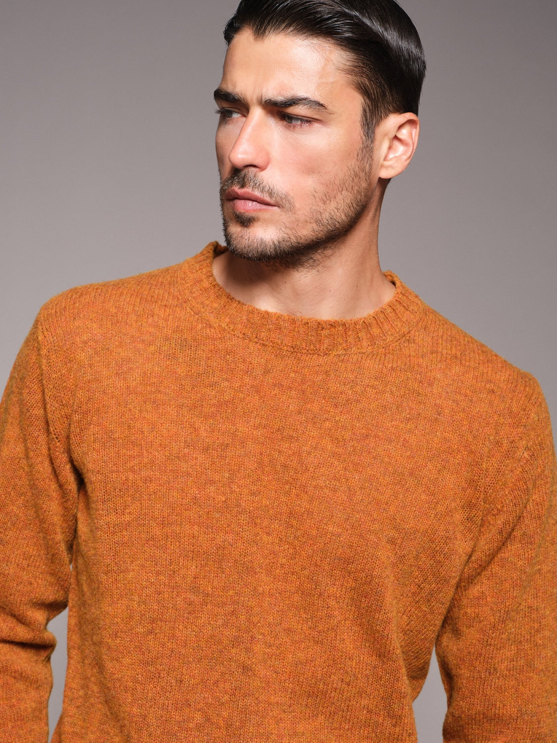 Crewneck sweater in burgundy Shetland wool